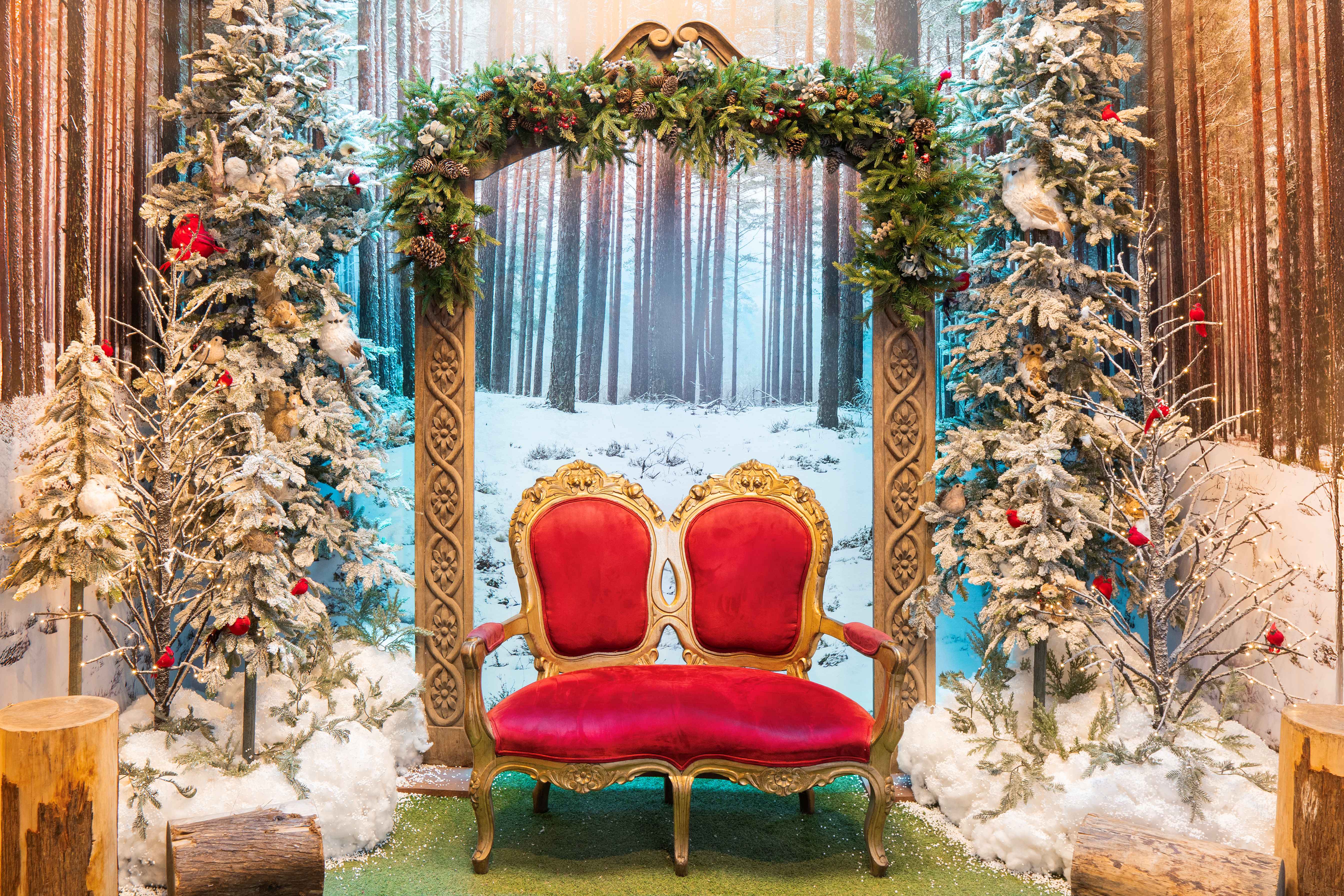 CAPTURA LA MAGIA DE LA NAVIDAD EN VID?RE CON LA NUEVA EXPERIENCIA DE PHOTOLAND